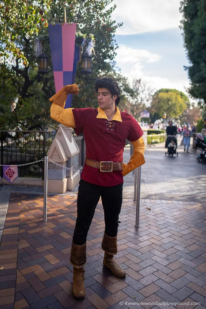 Disneyland California Meet Disney Princess