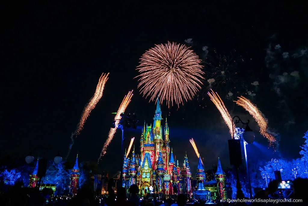 Magic Kingdom Fireworks Dessert Party Disney World