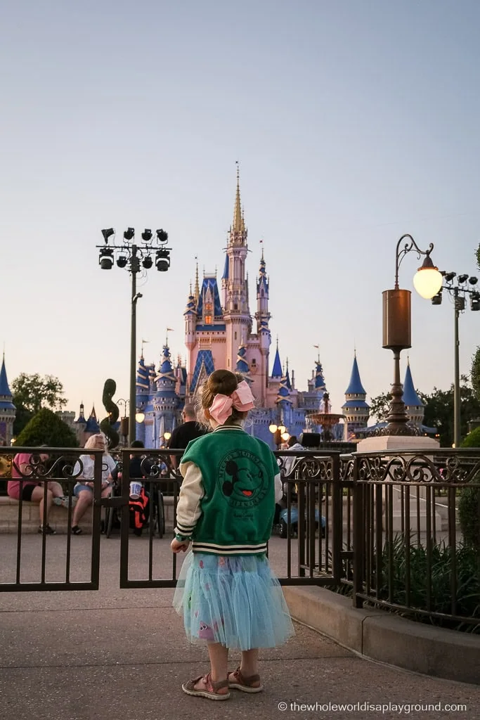 Magic Kingdom Fireworks Dessert Party Disney World