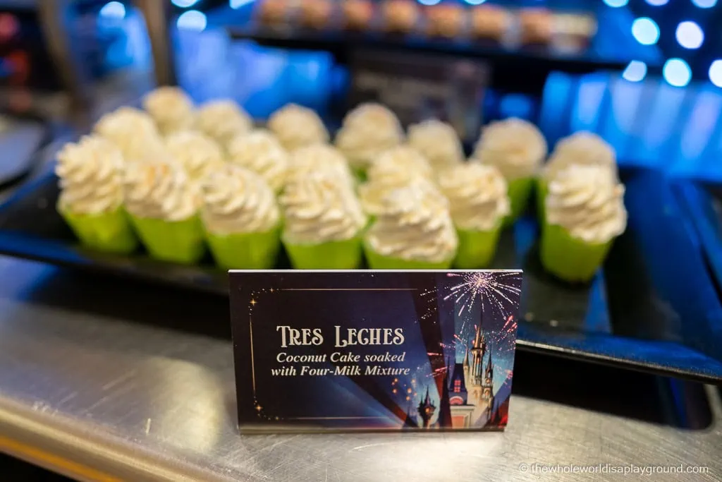Magic Kingdom Fireworks Dessert Party Disney World