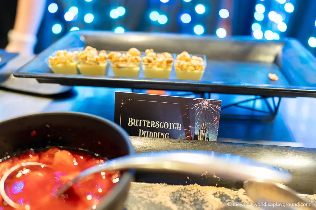 Magic Kingdom Fireworks Dessert Party Disney World