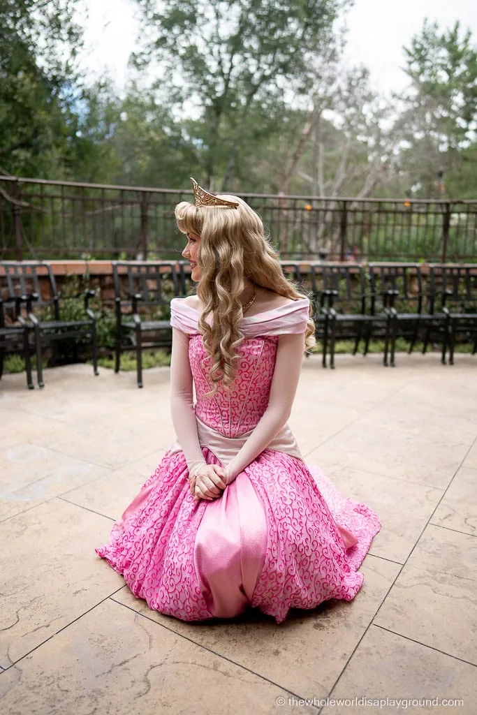 Napa Rose Princess Breakfast